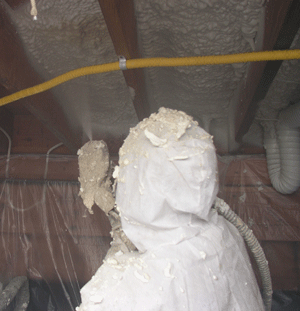 Thousand Oaks CA crawl space insulation